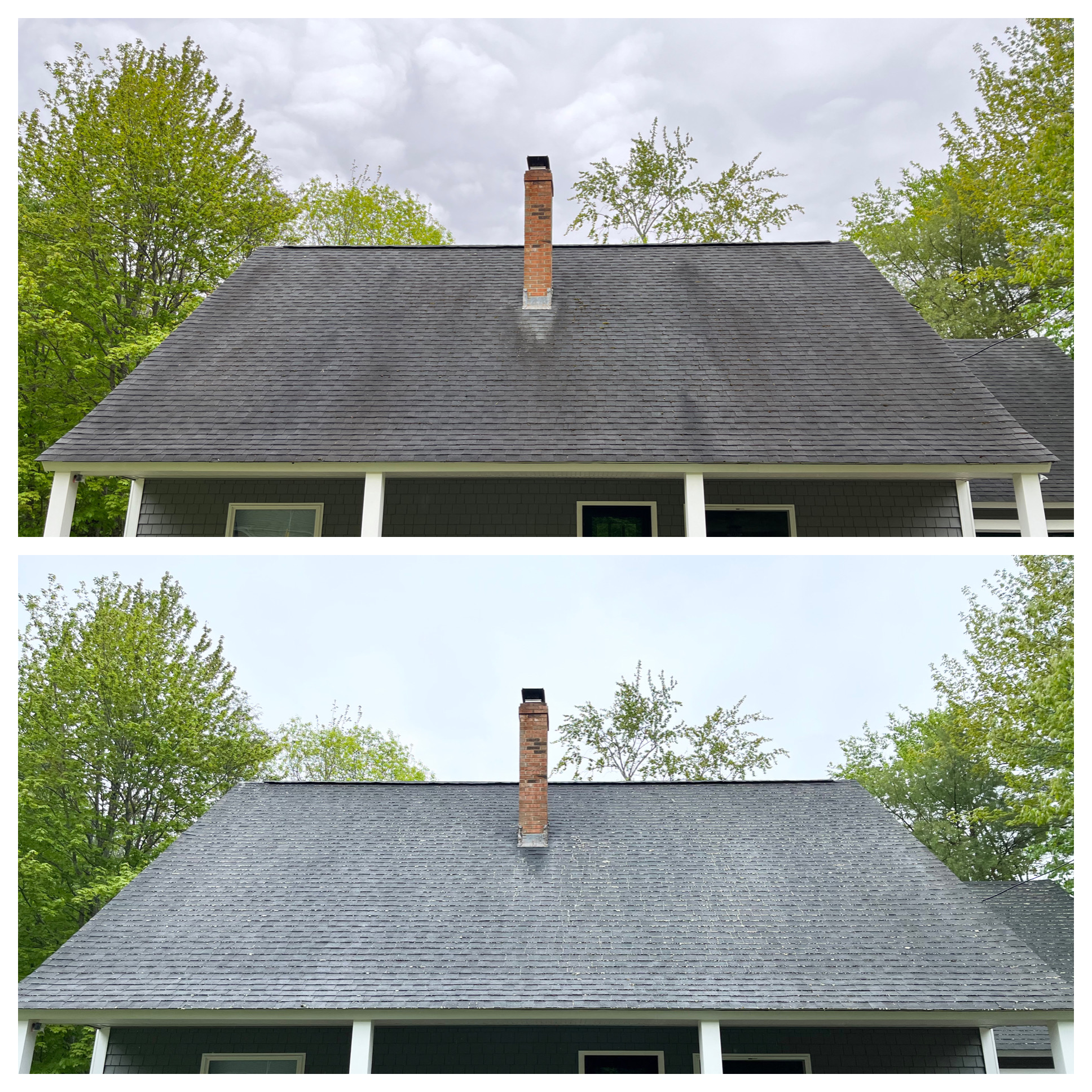 Wolfeboro's Premier Roof Cleaning Service: Moss-Free Solutions for Your Home